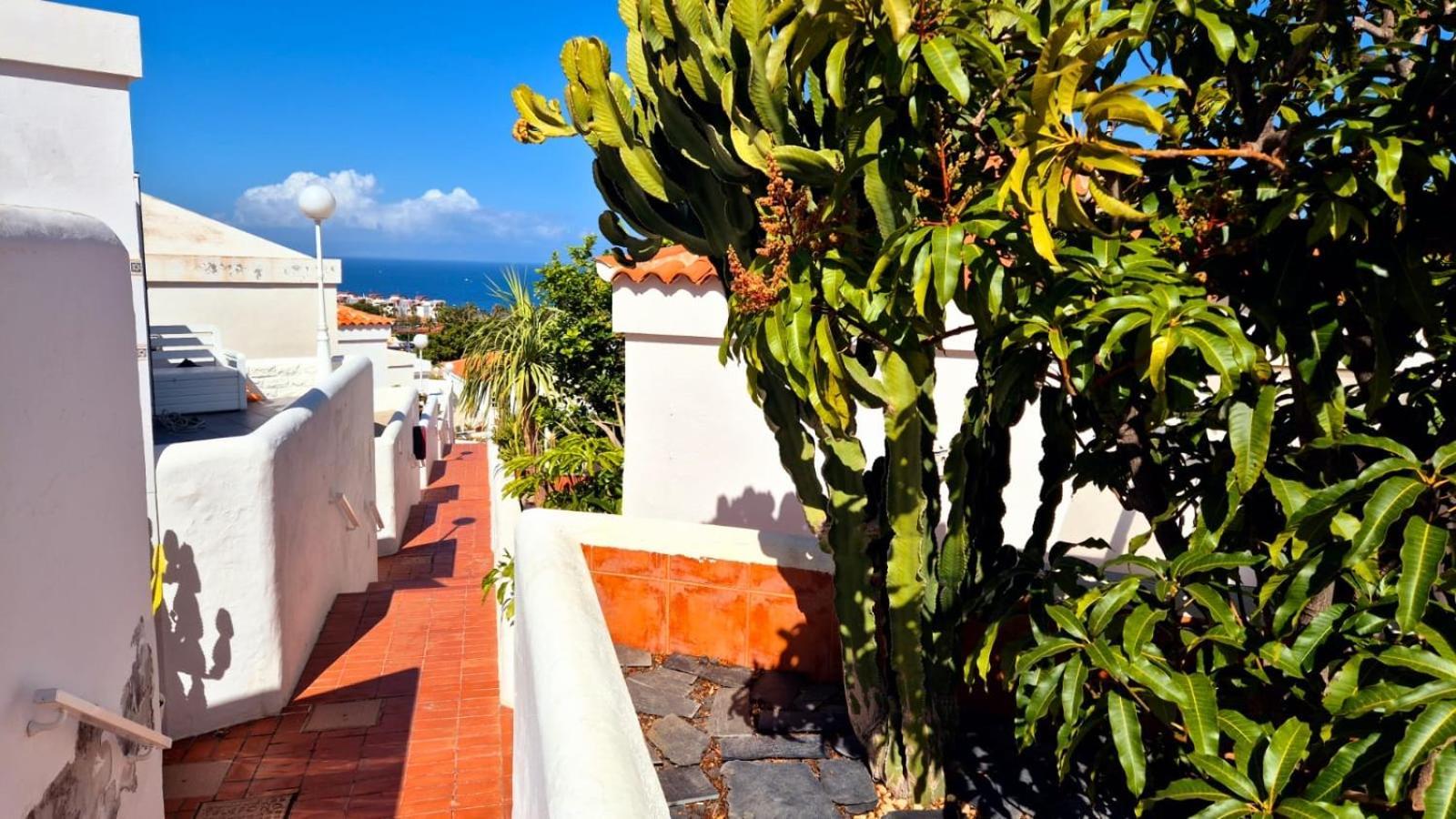 Costa Adeje Bungalow -Tenerife Extérieur photo