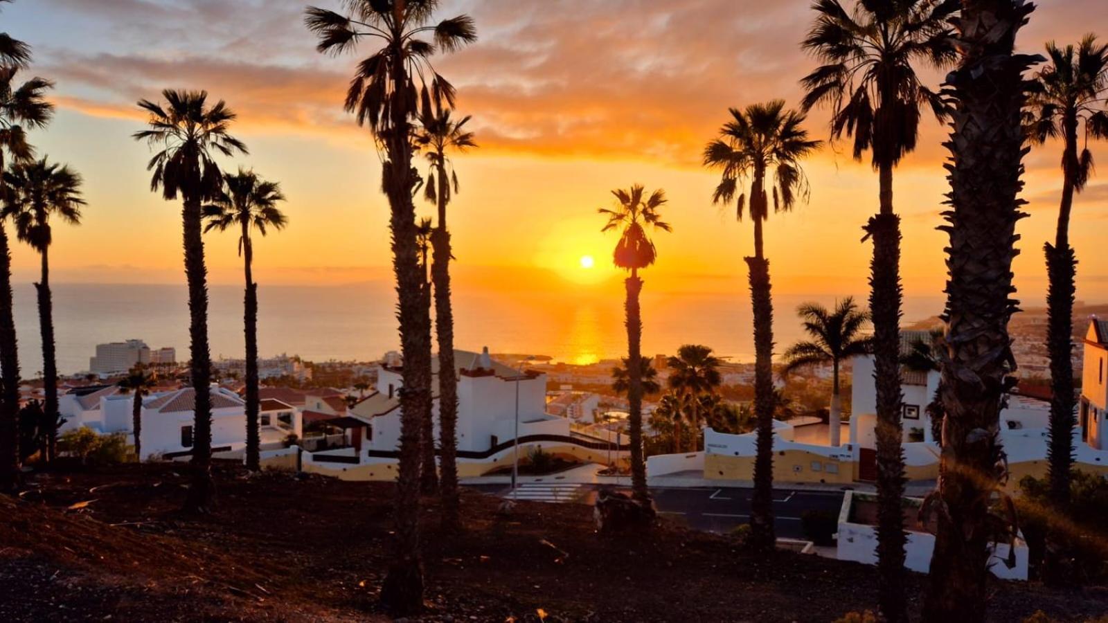 Costa Adeje Bungalow -Tenerife Extérieur photo